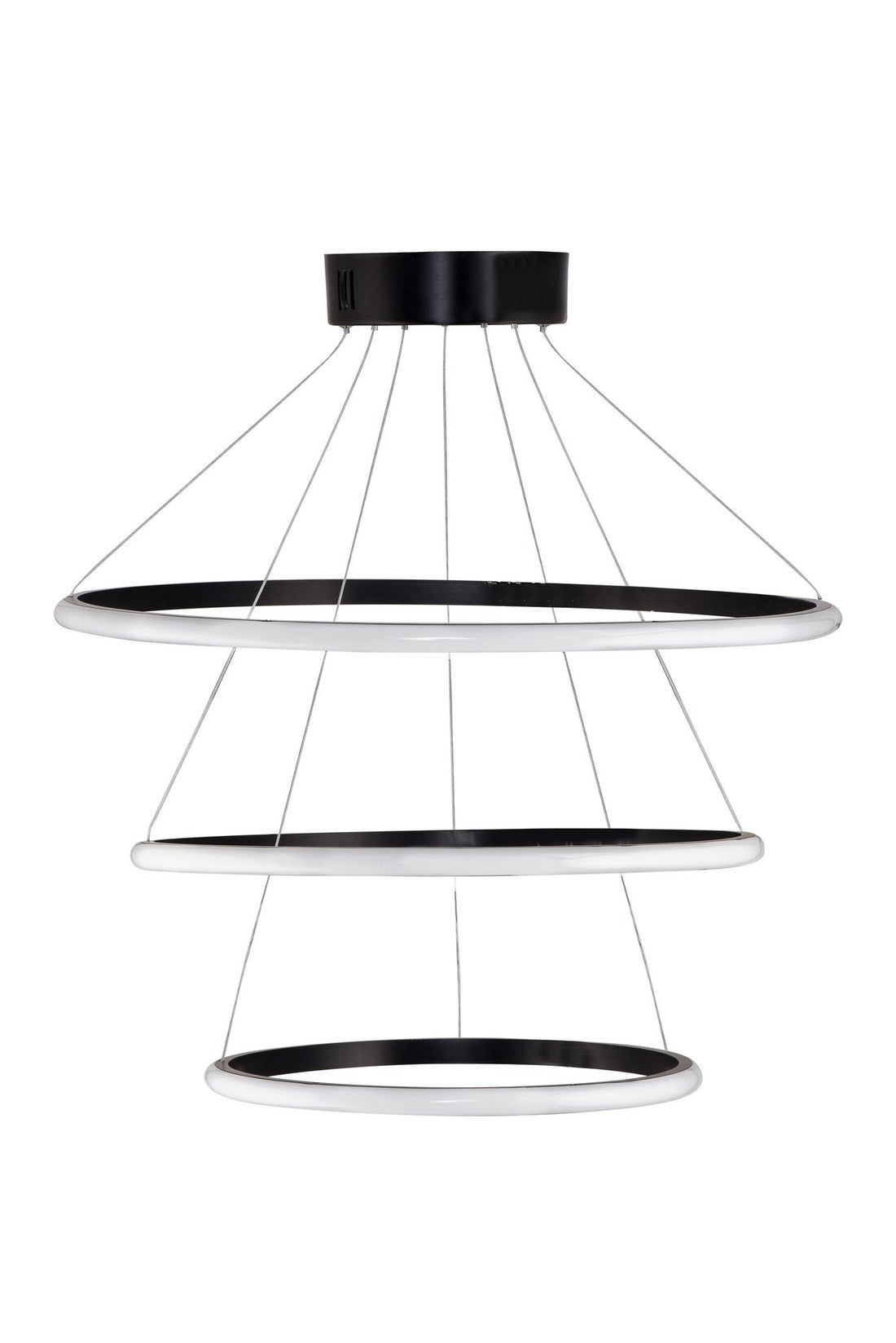 Lustre Ursae Black-White Light