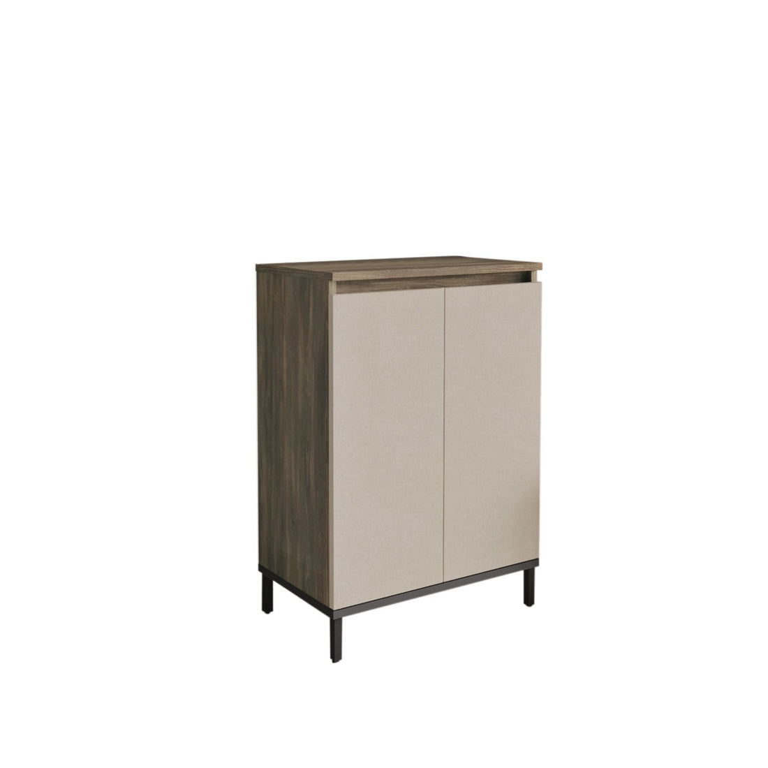Armoire à plusieurs usage VE1-CV