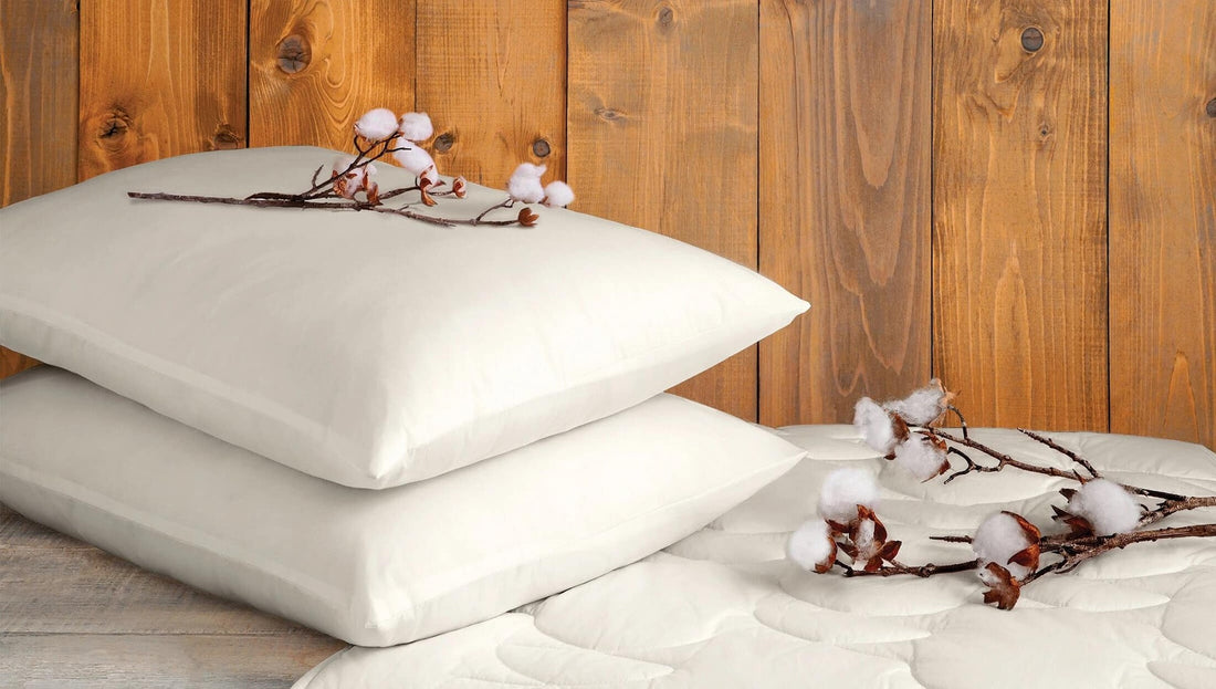 Cotty Coton Oreiller