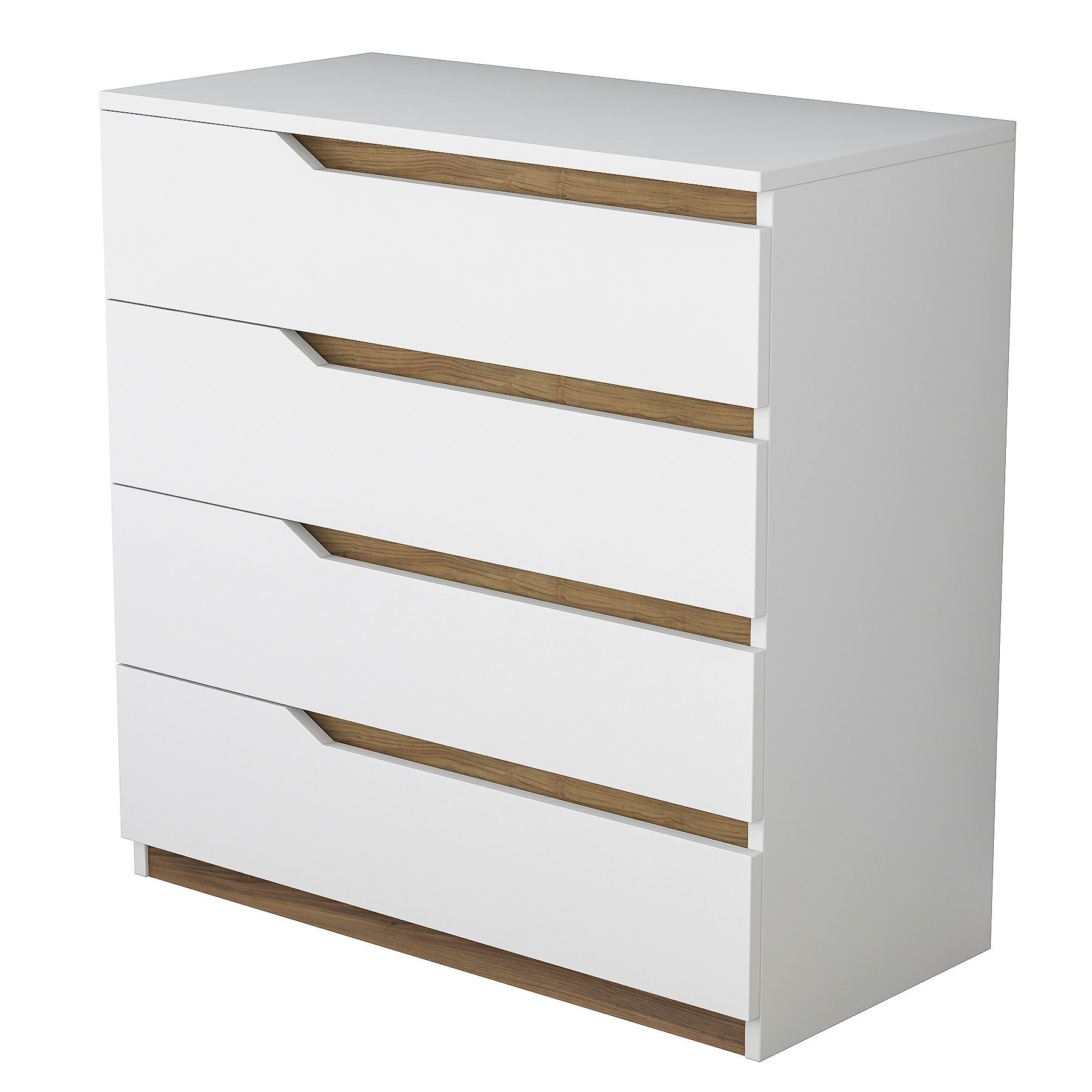 Armoire polyvalente BE101 - 1889