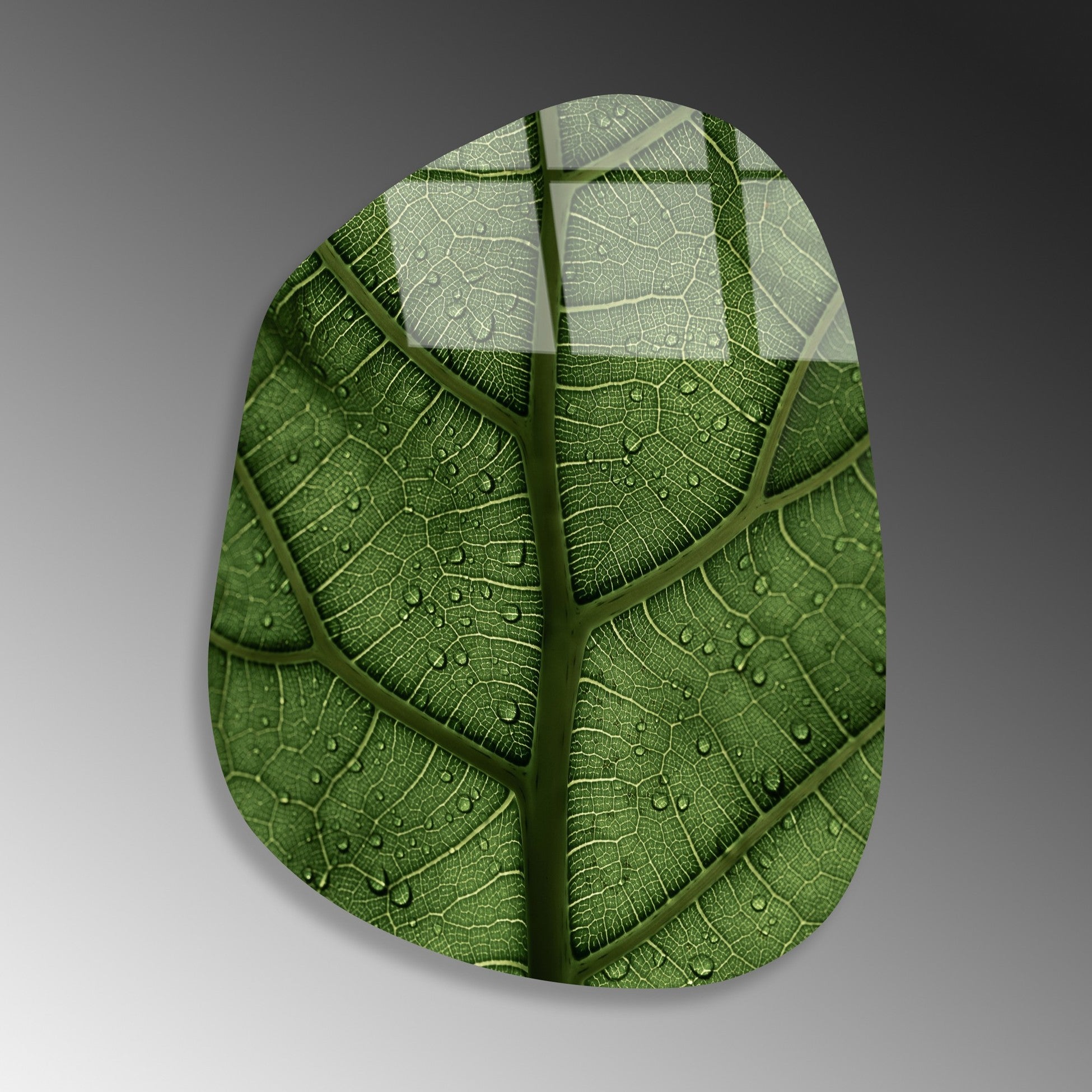 Peinture en verre trempé décoratif UV-1099 - 50 x 70