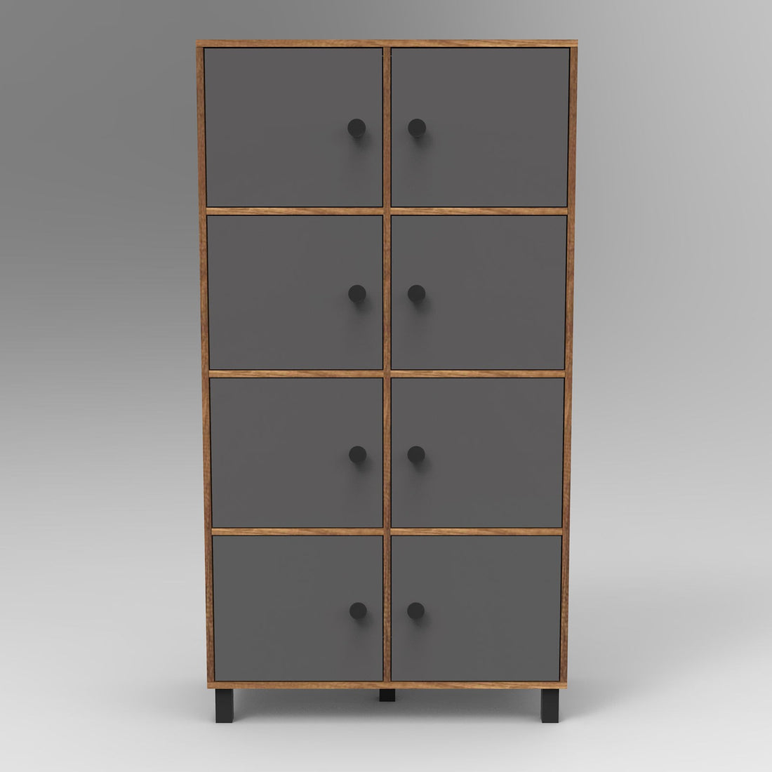 Armoire à plusieurs usage MN06-BA
