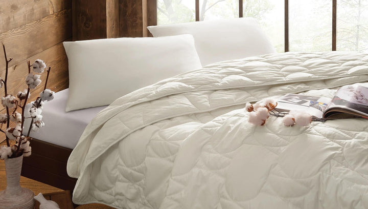 Cotty Coton Oreiller