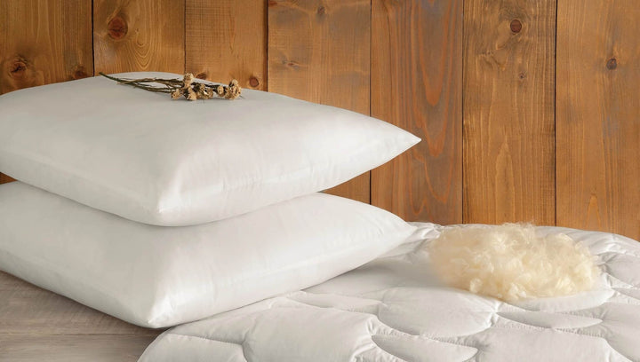 Dulcet oreiller en laine