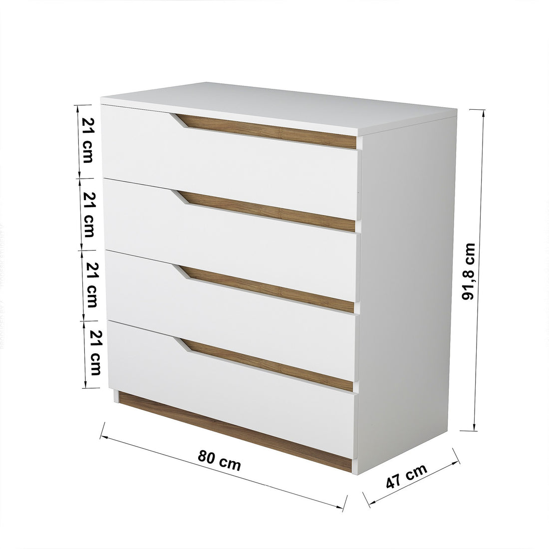Armoire polyvalente BE101 - 1889