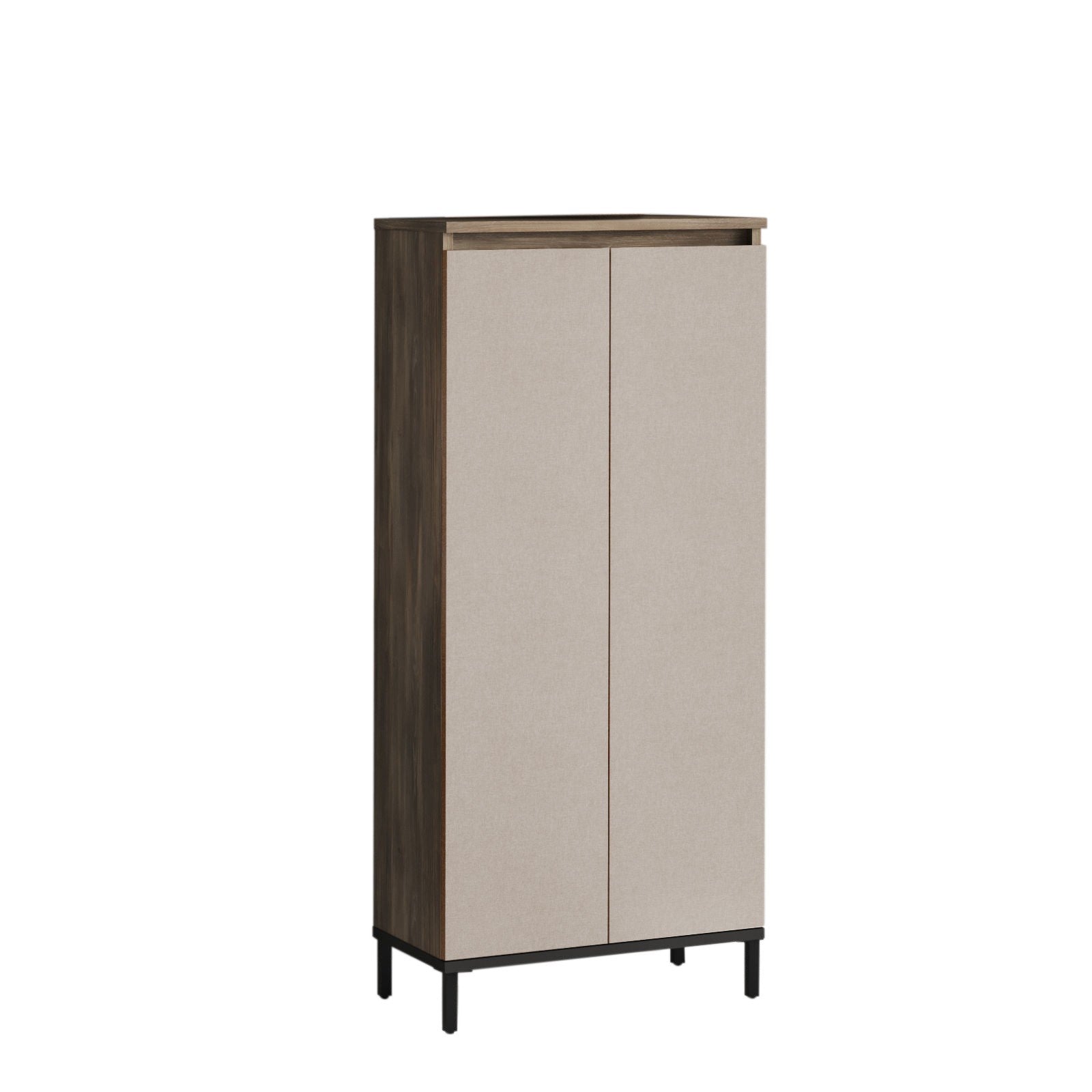 Armoire à plusieurs usage VE2-CV