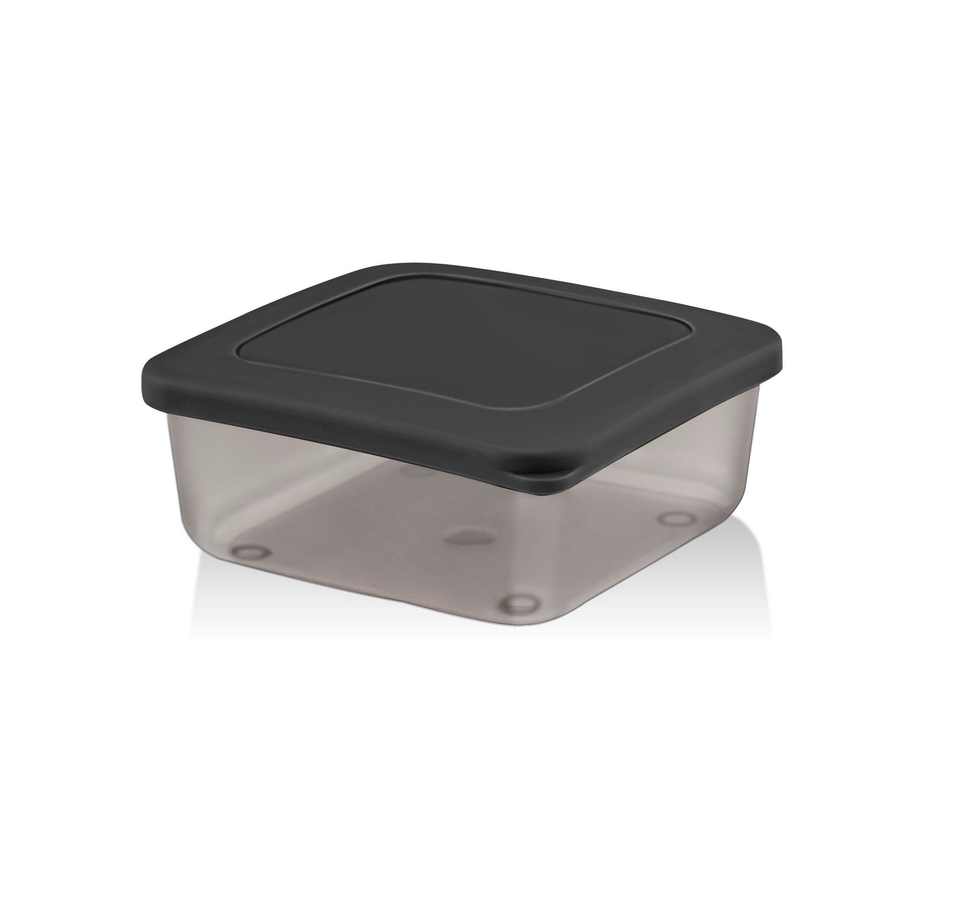 Storage Box Set (4 Pieces) SC-4290