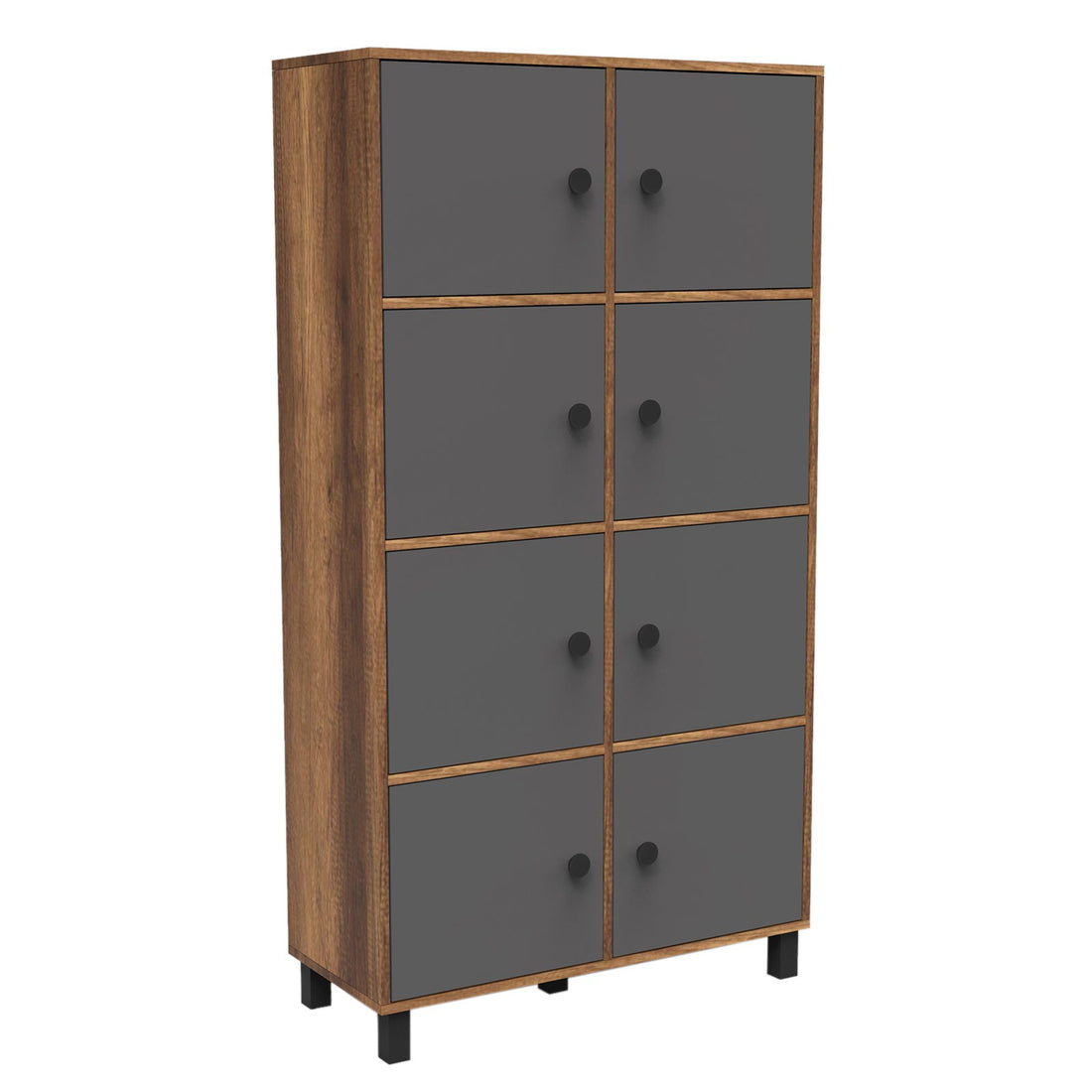 Armoire à plusieurs usage MN06-BA