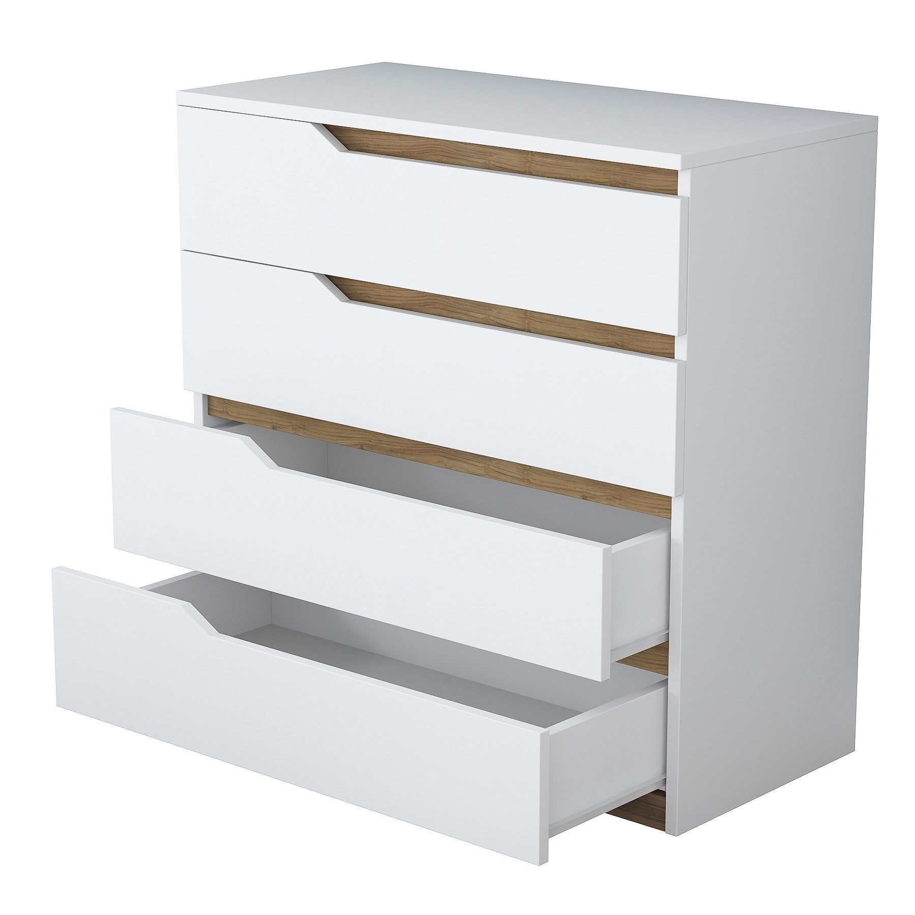 Armoire polyvalente BE101 - 1889