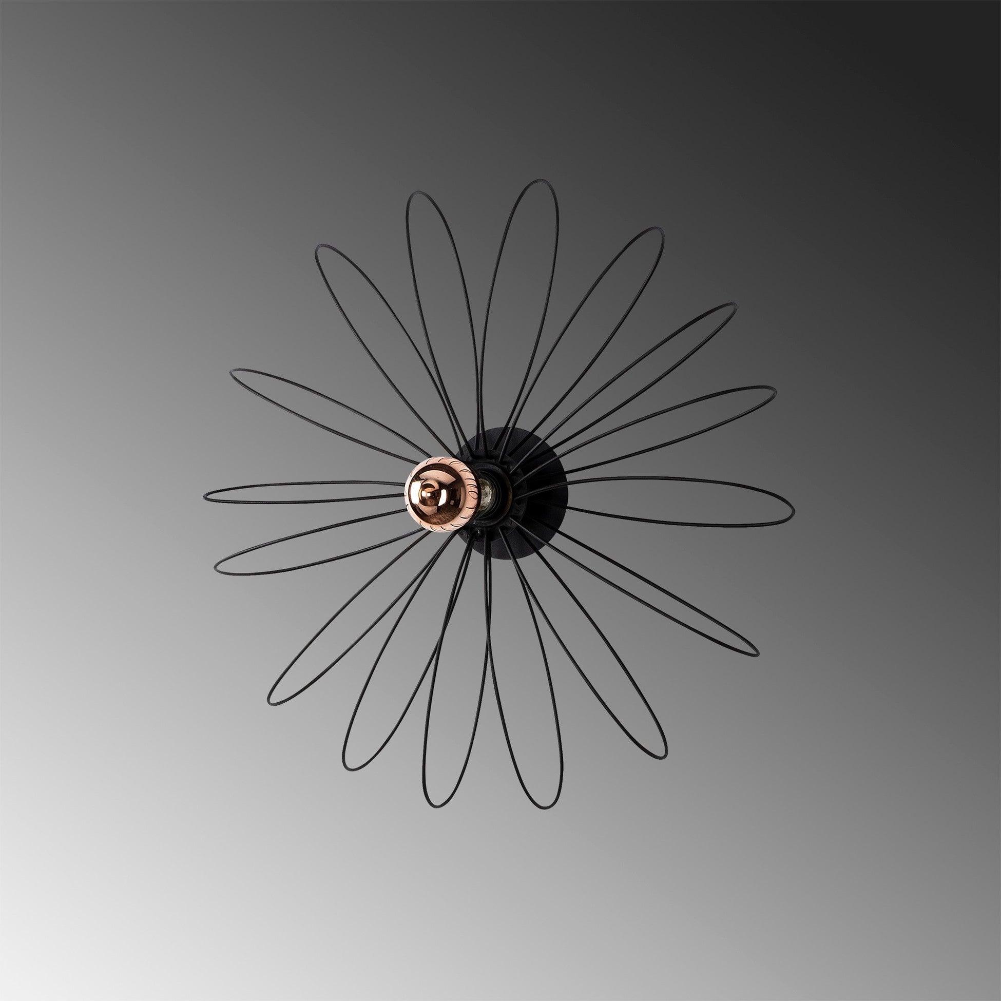 Applique Hemdem - 707-A BLACK