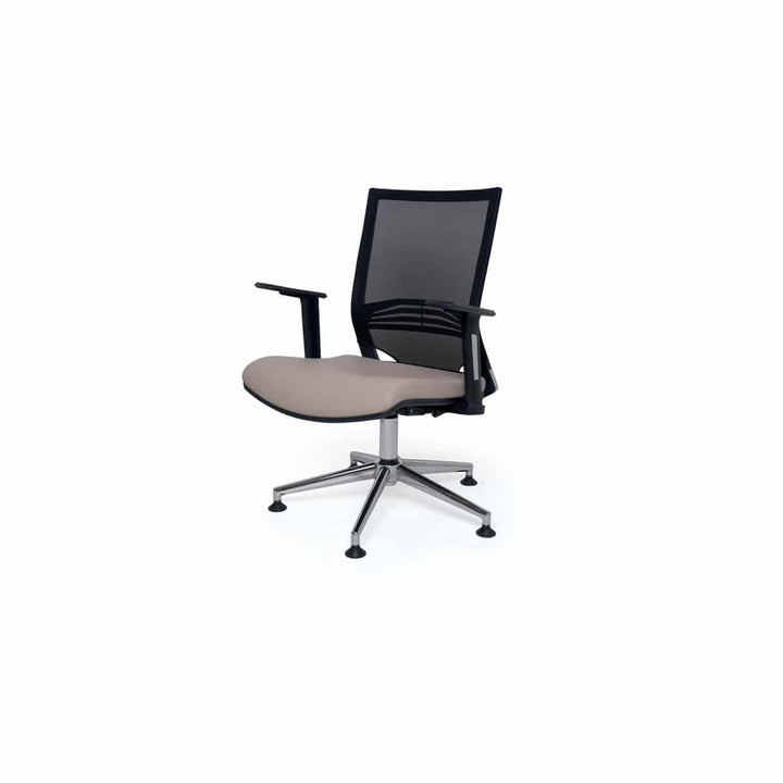 Vera Fauteuil D'acceuil