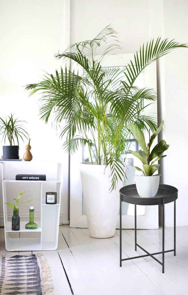 Table basse galvaniser SHP0008