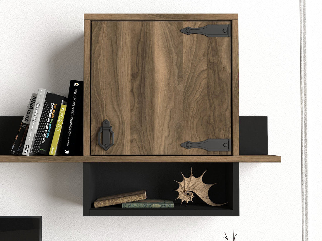 Unité de télévision Anthes 1