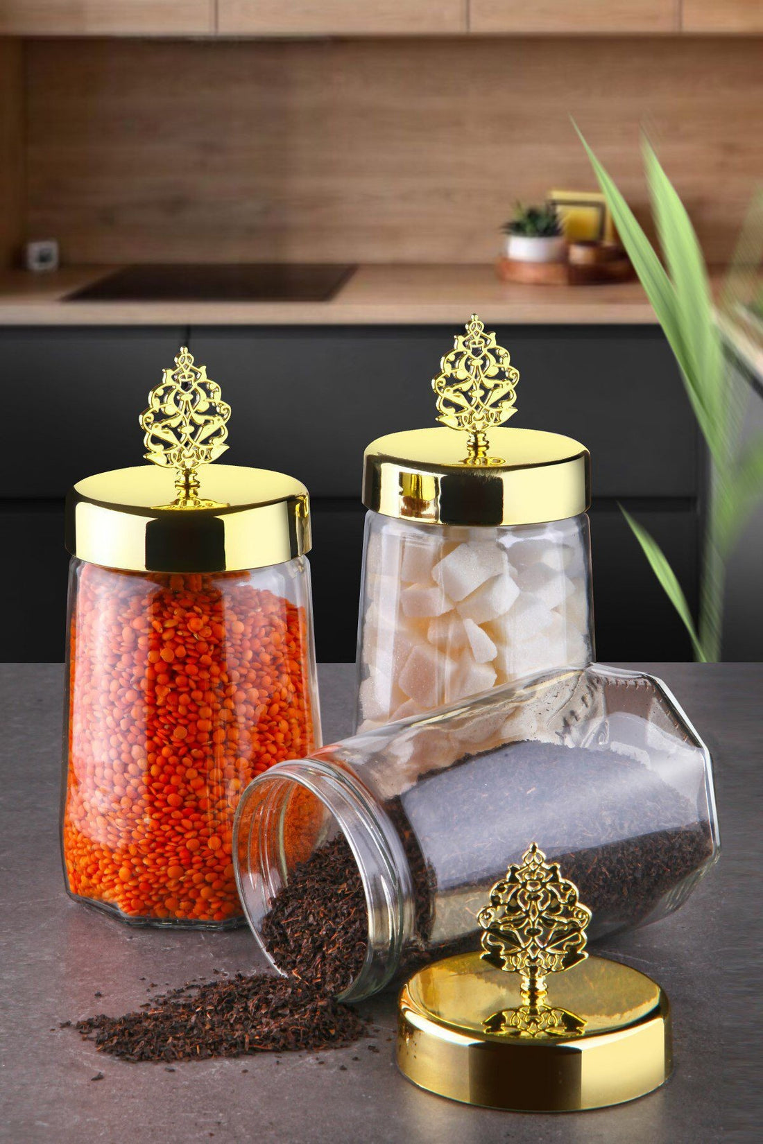 Storage Box Set (3 Pieces) PLTN108