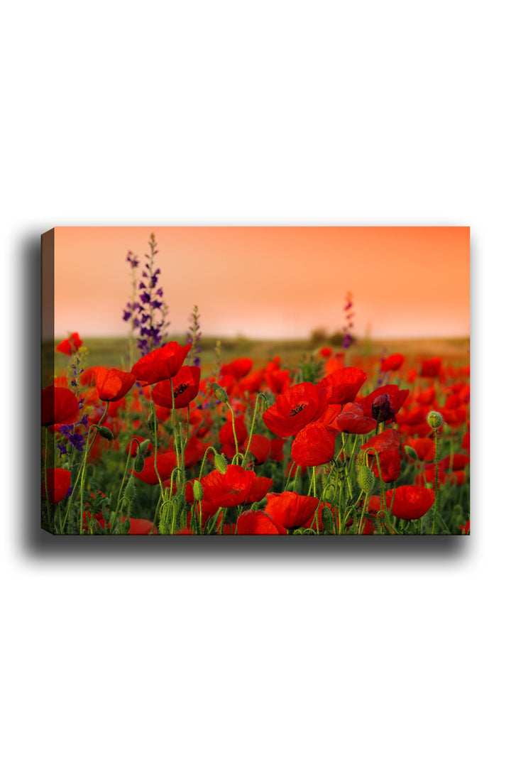 Peinture de toile décorative toile de peinture (50 x 70) - 1