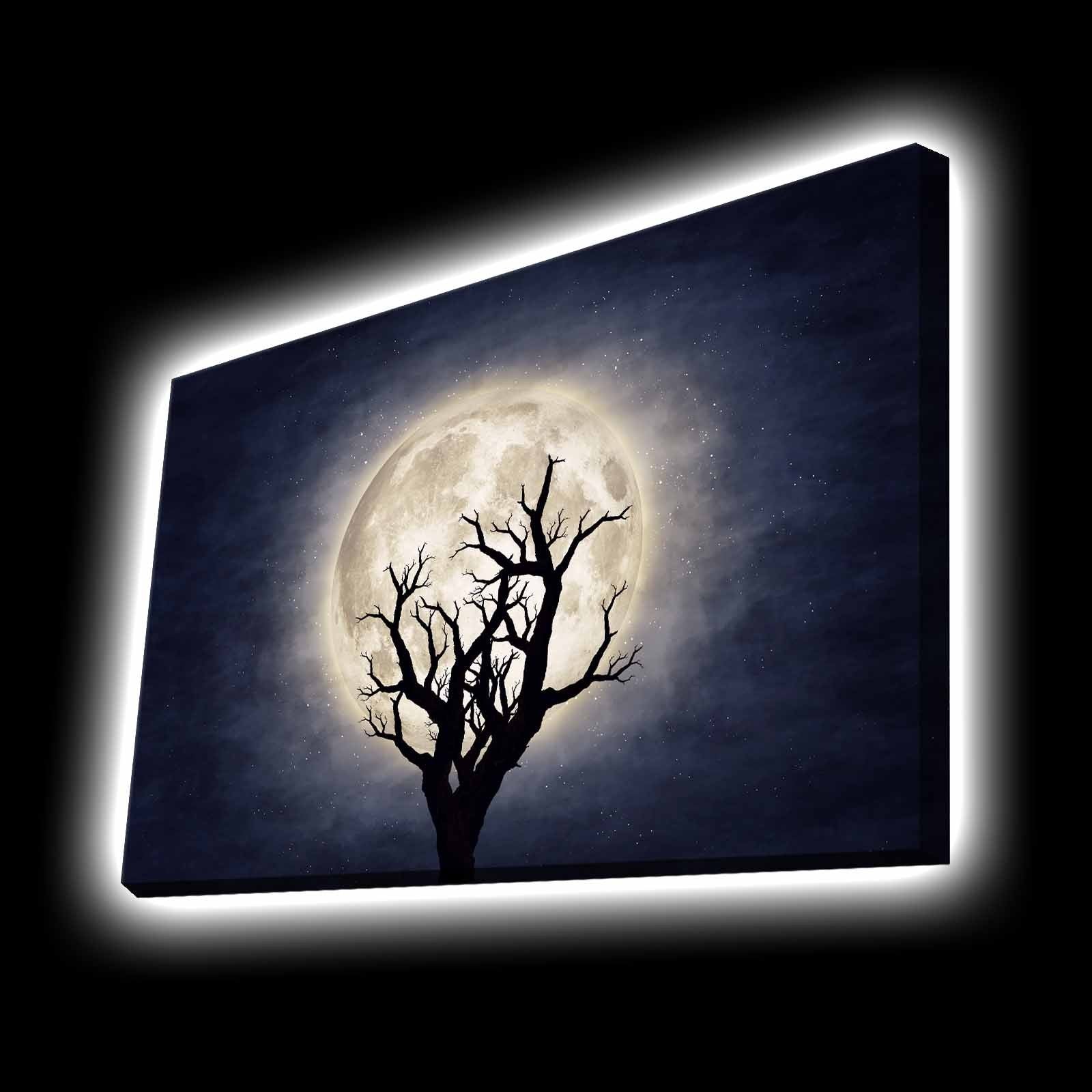 Peinture de toile éclairée à LED décorative 4570KTLGDACT - 002