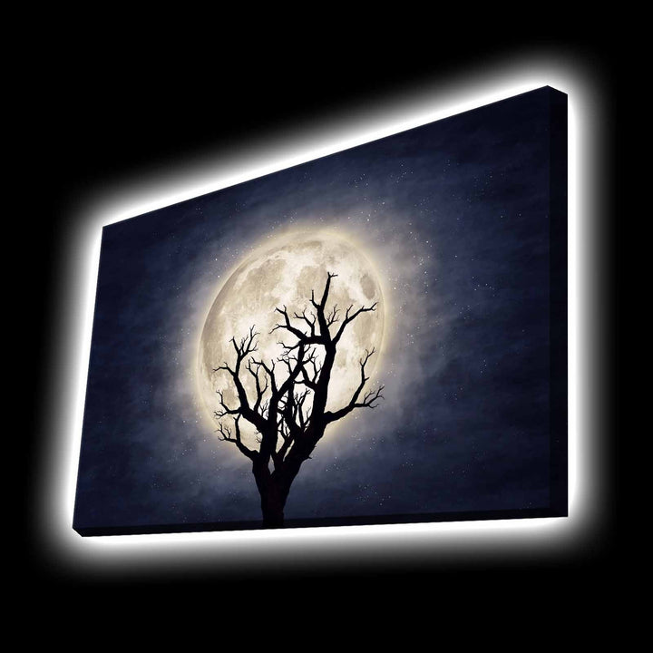 Peinture de toile éclairée à LED décorative 4570KTLGDACT - 002