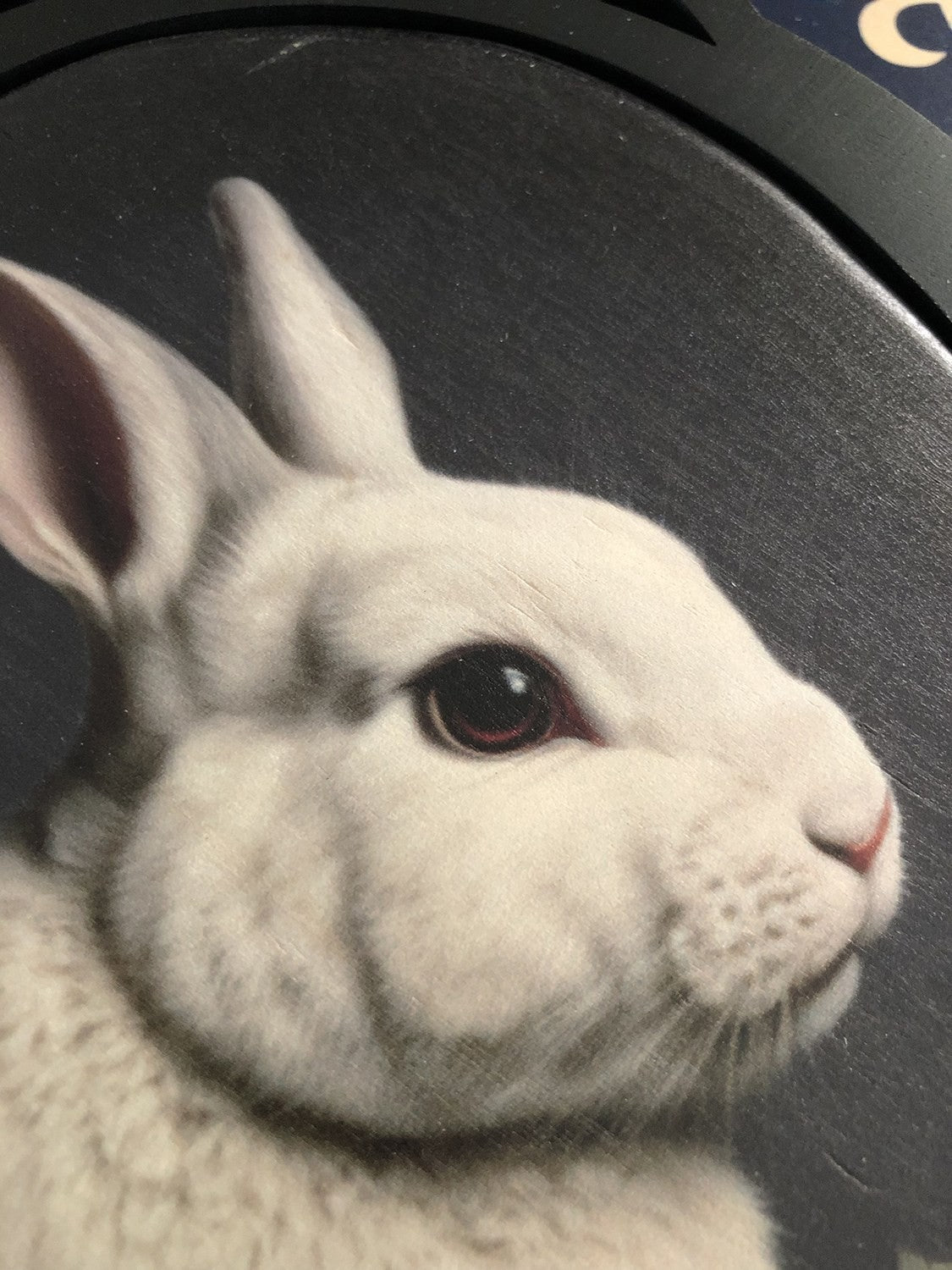 Peinture à encadré décorative GPLQ011