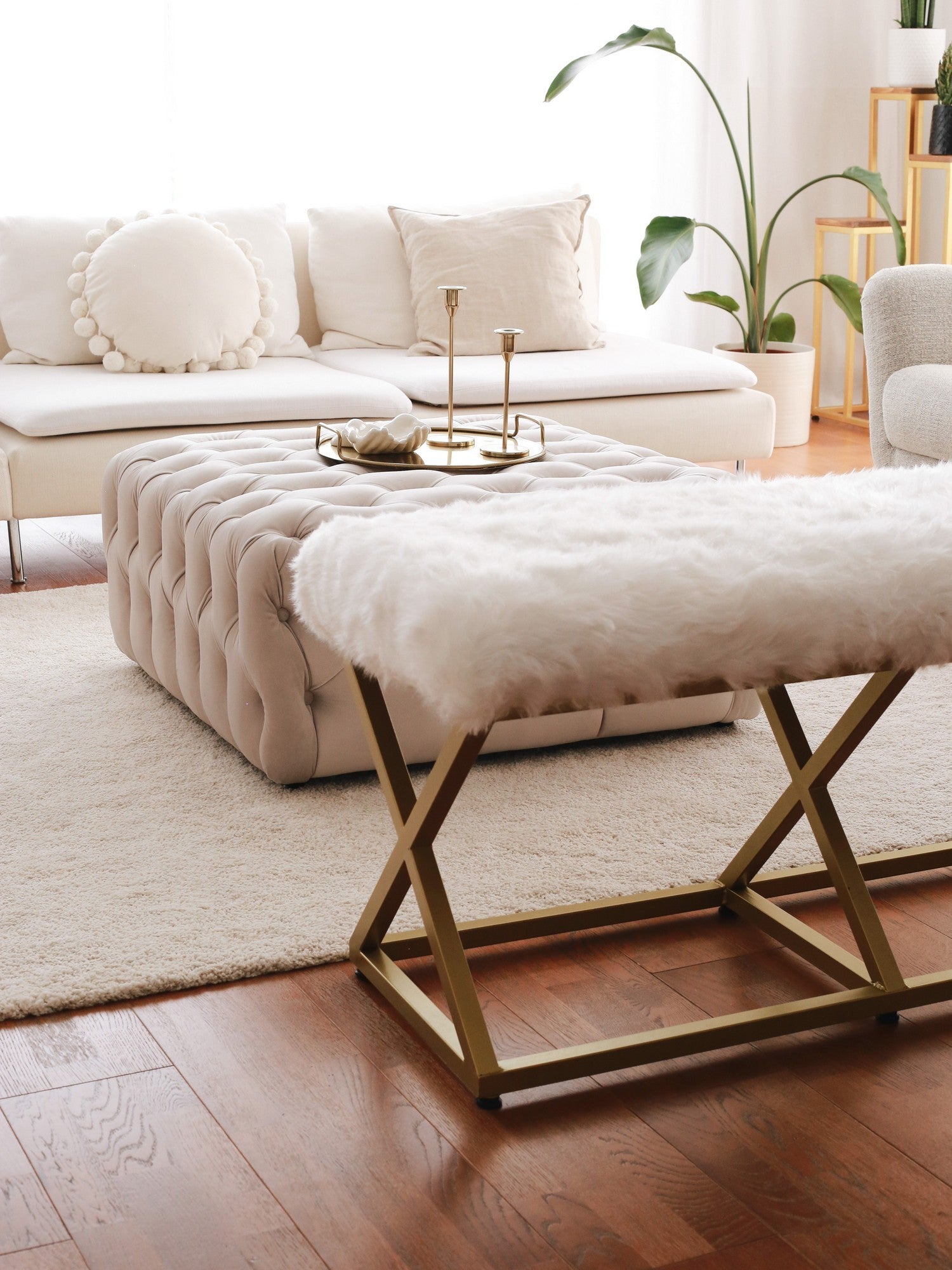 Banc Capraz Pelush - Gold, White