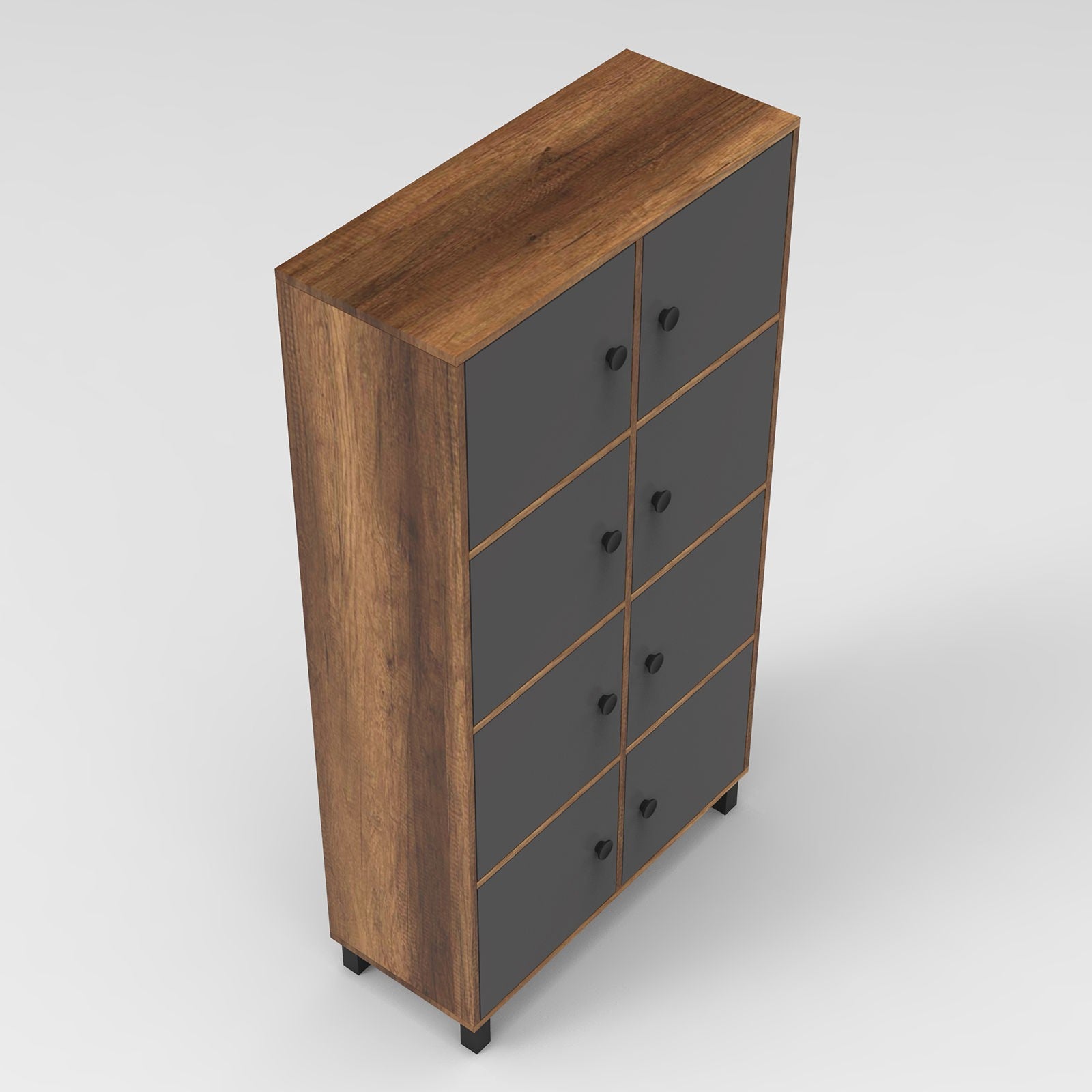 Armoire à plusieurs usage MN06-BA