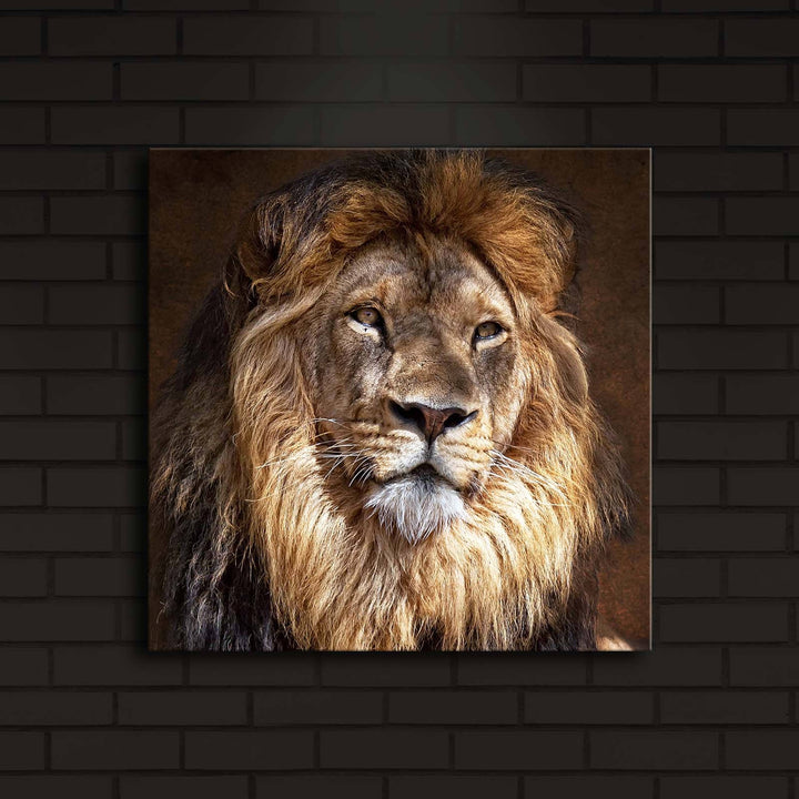 Peinture de toile éclairée à LED décorative 4040İACT-20