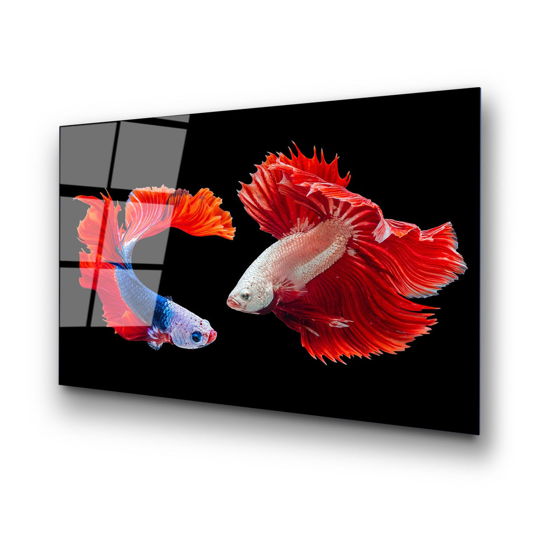 Peinture en verre trempé décoratif UV-167 70 x 100