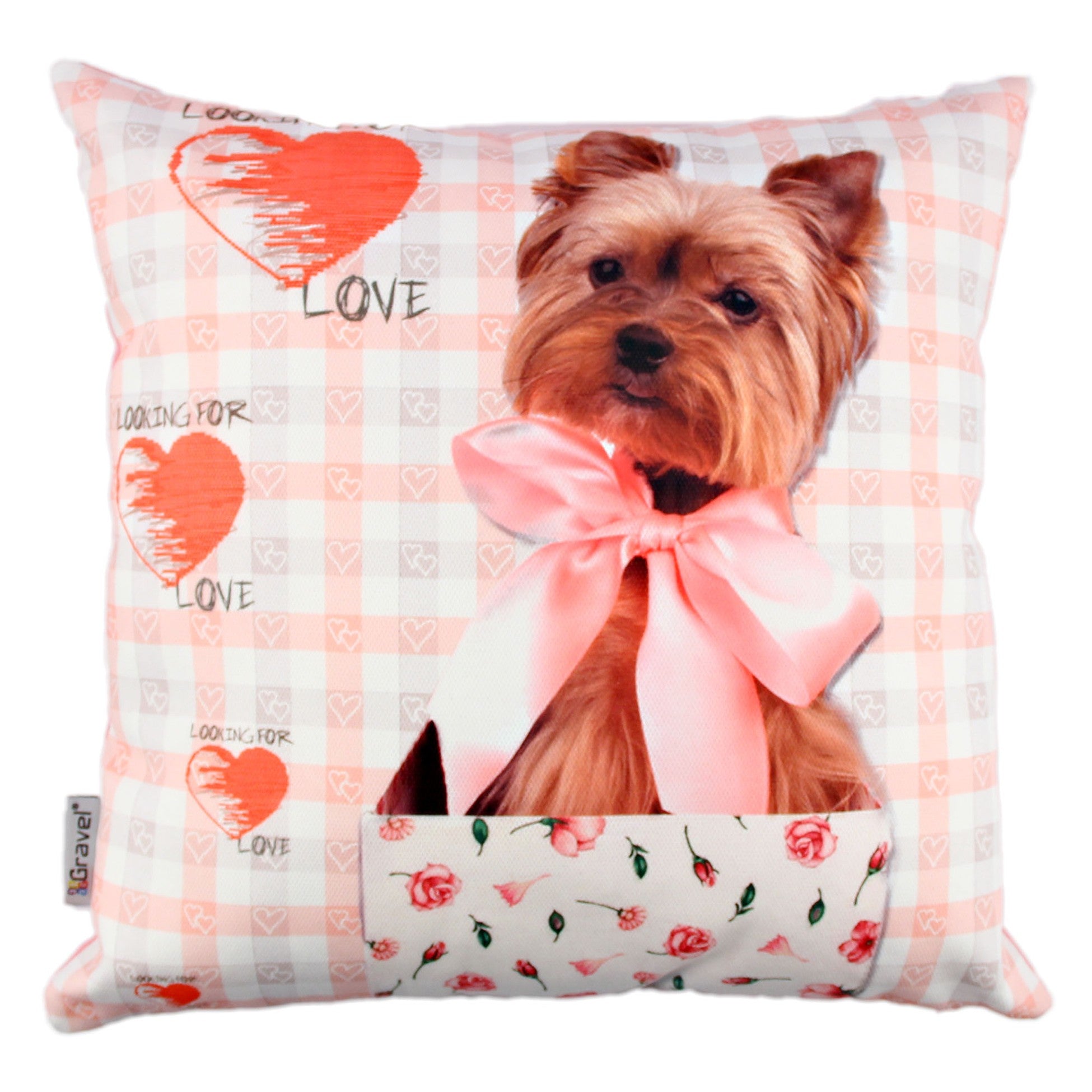Coussin A10801