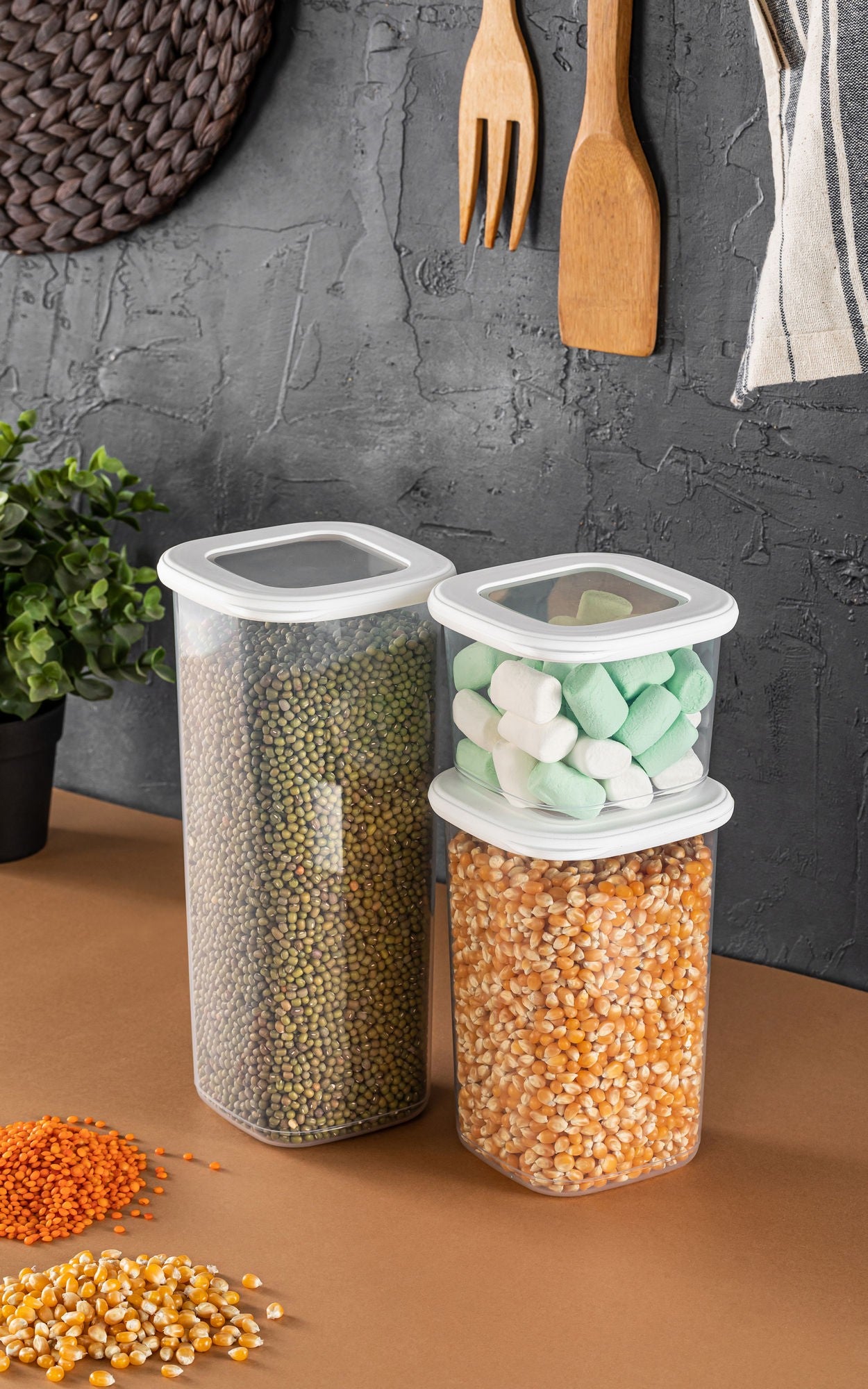 Storage Box Set (3 Pieces) BNMPOLYWS03-051217