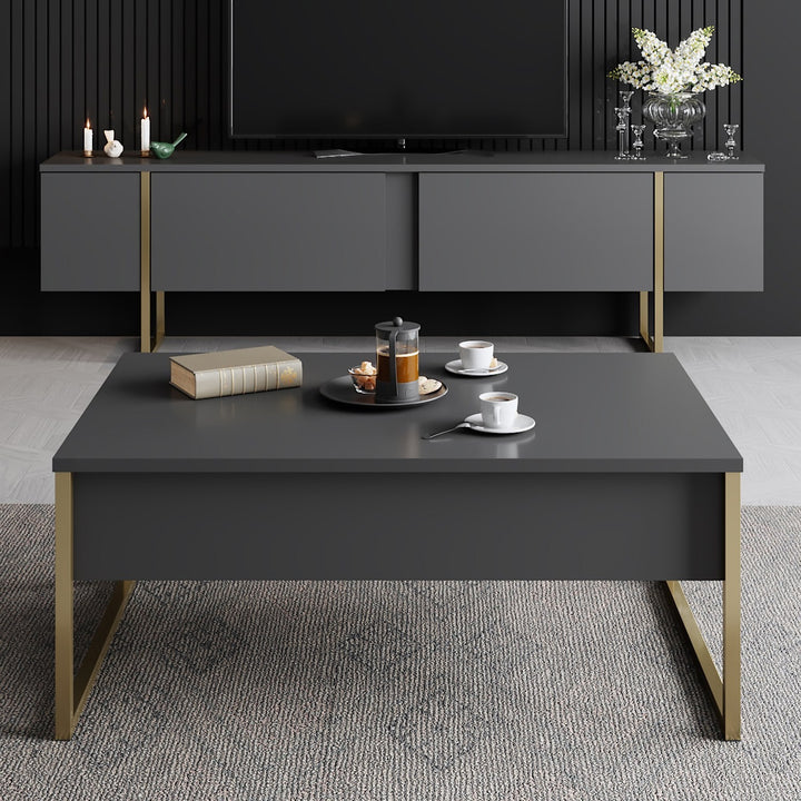 Ensemble de meubles de salon Luxe Set - Anthracite, Gold