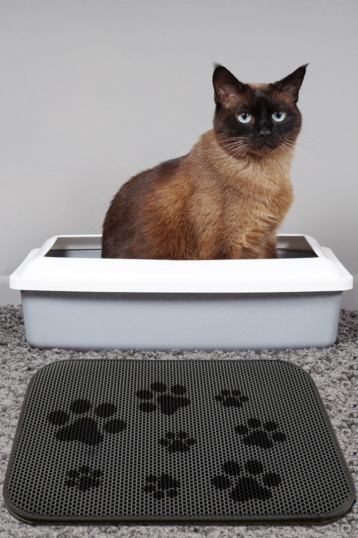 Tapis de litière pour chats Cat Litter Mat Trace