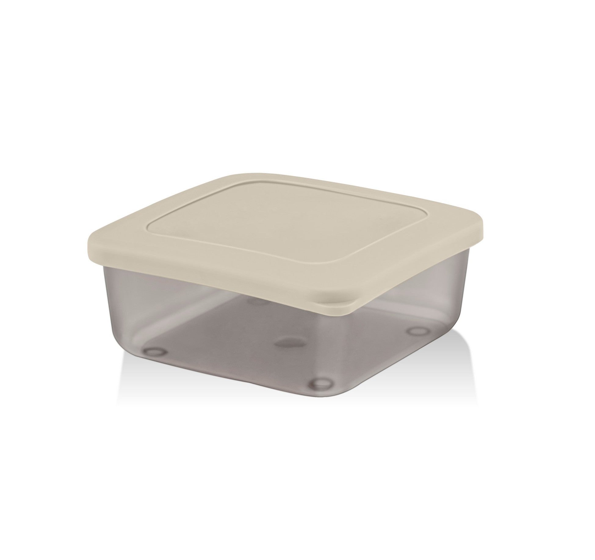 Storage Box Set (4 Pieces) SC-4290