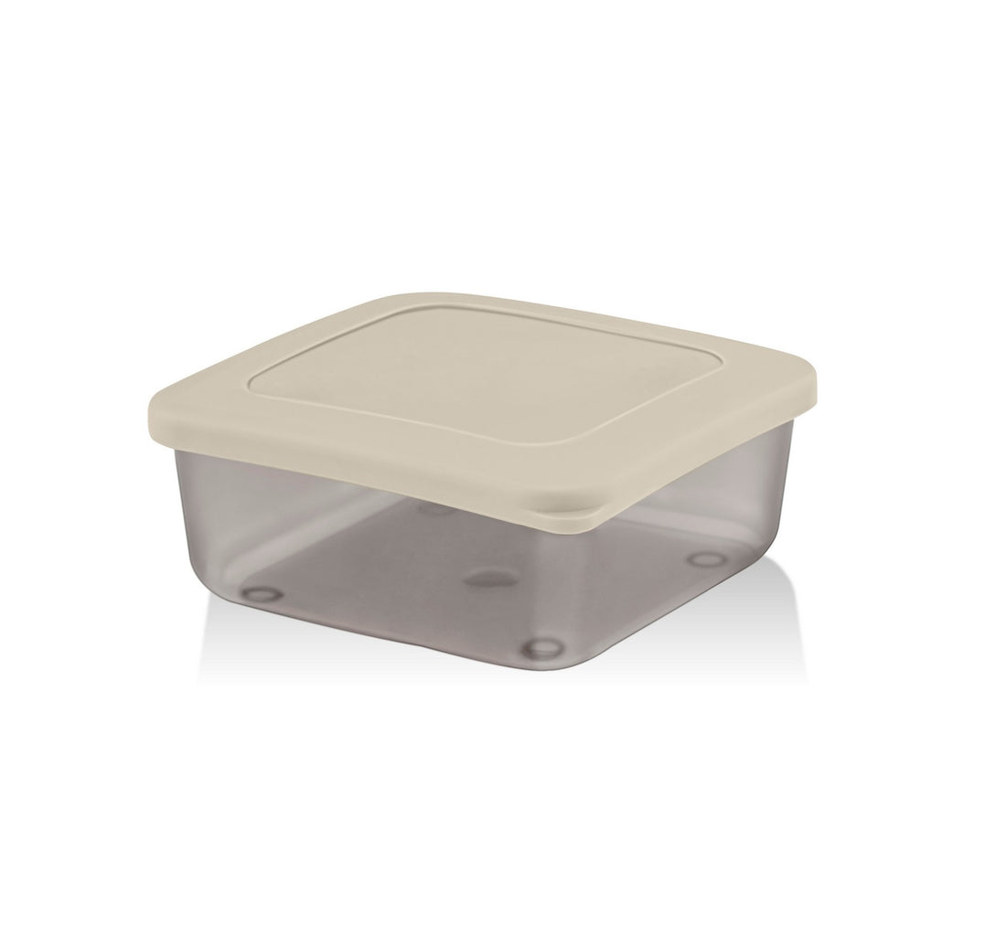 Storage Box Set (4 Pieces) SC-4290