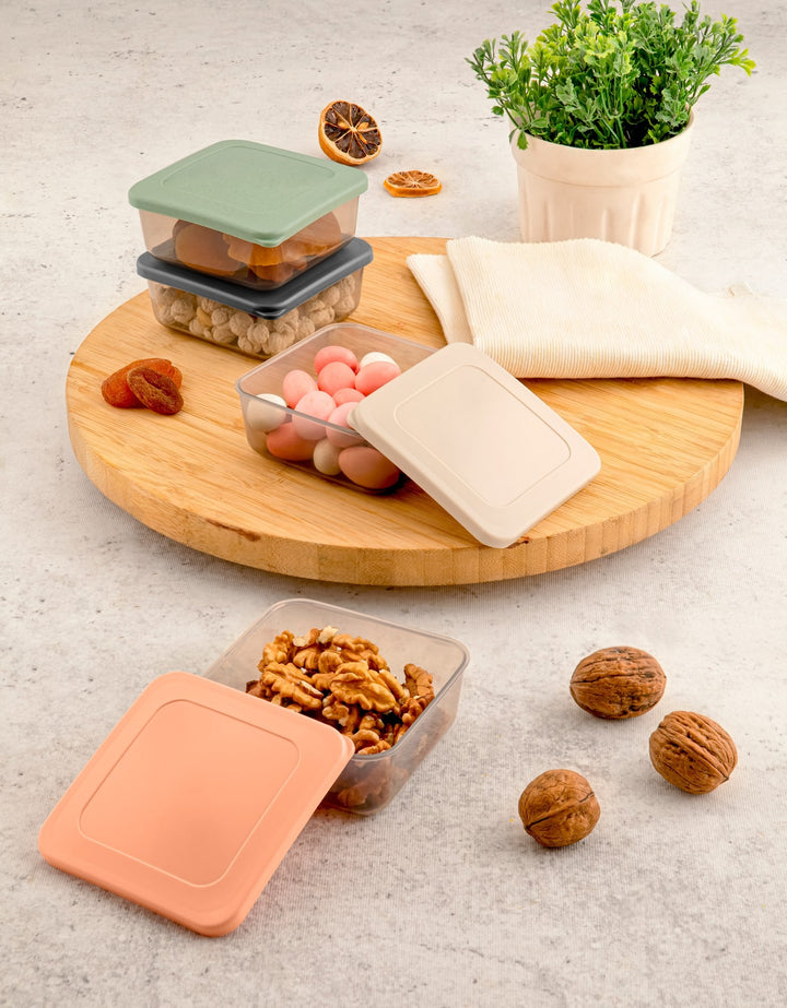 Storage Box Set (4 Pieces) SC-4290