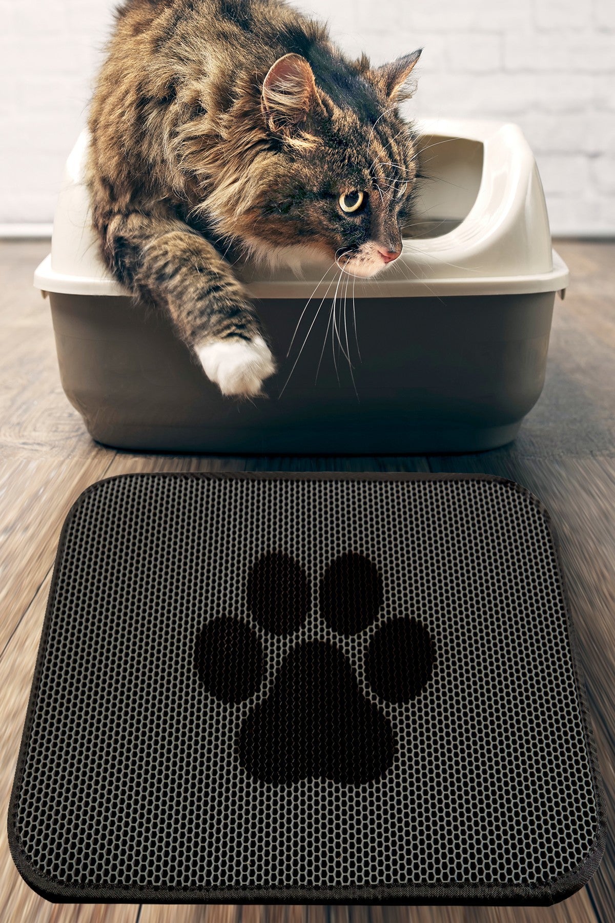 Tapis de litière pour chats Cat Paw Mat