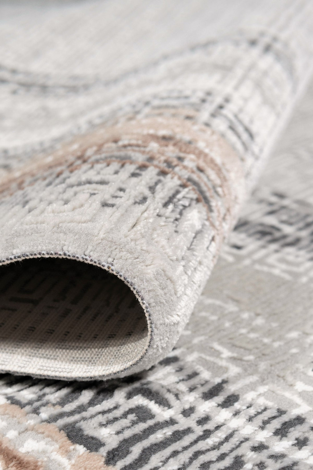 Tapis (200 x 290) Leo 2982 - Brown