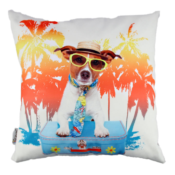 Coussin A10804