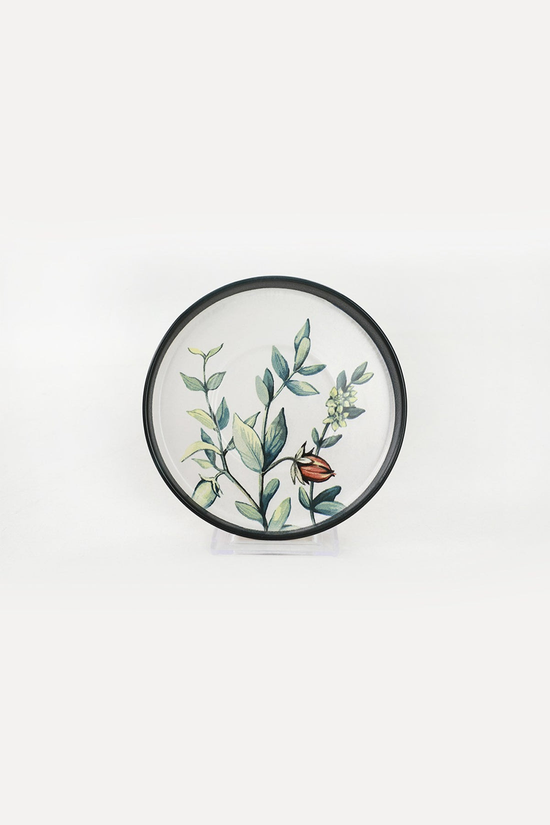 Coffee Cup Set (12 Pieces) TC038312F022A29DM00MATCS00