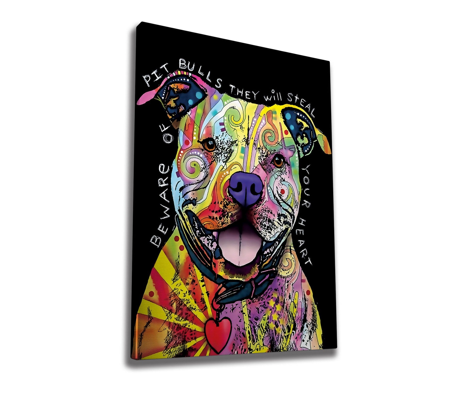 Peinture de toile décorative WY163 (50 x 70)