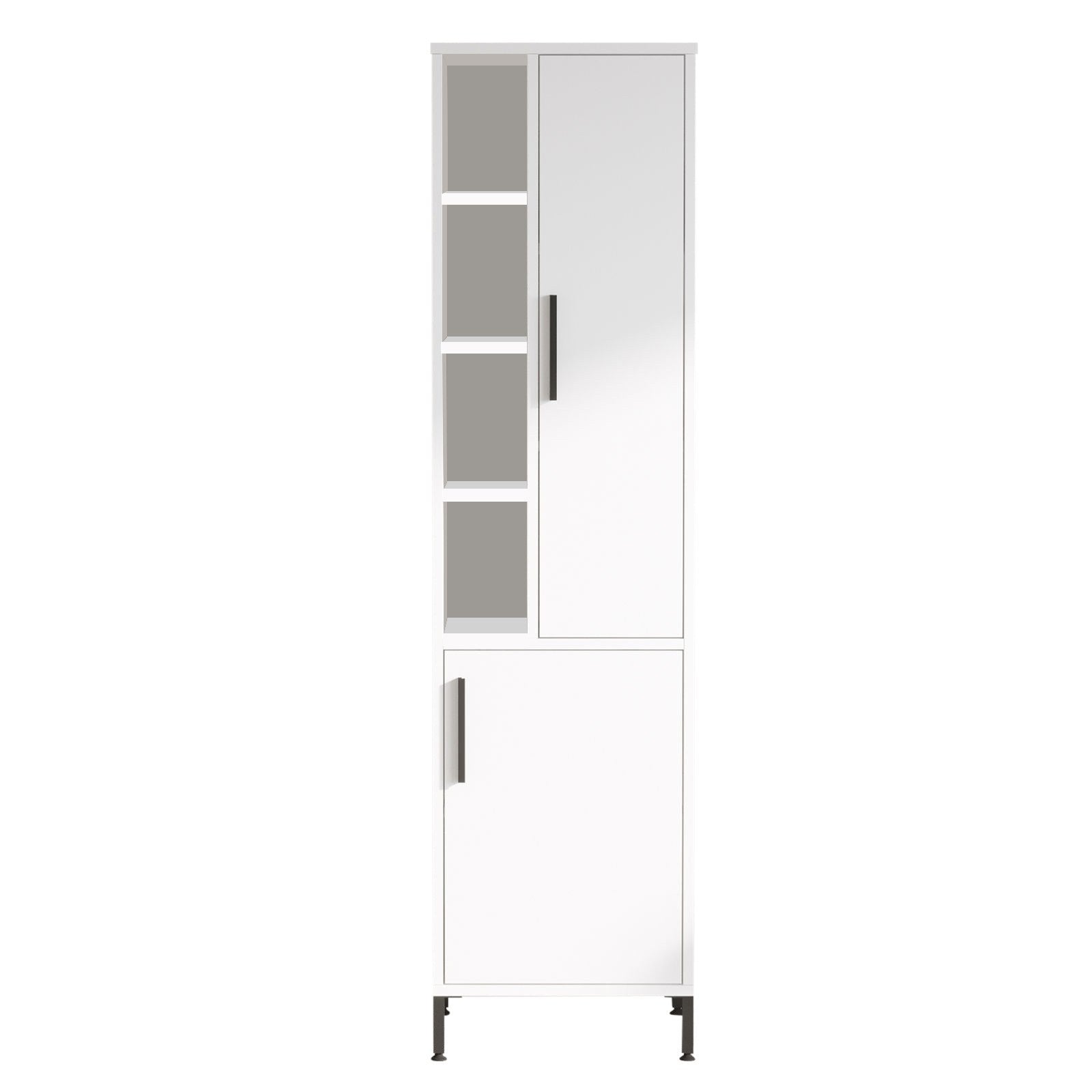 Armoire à plusieurs usage VI2-W