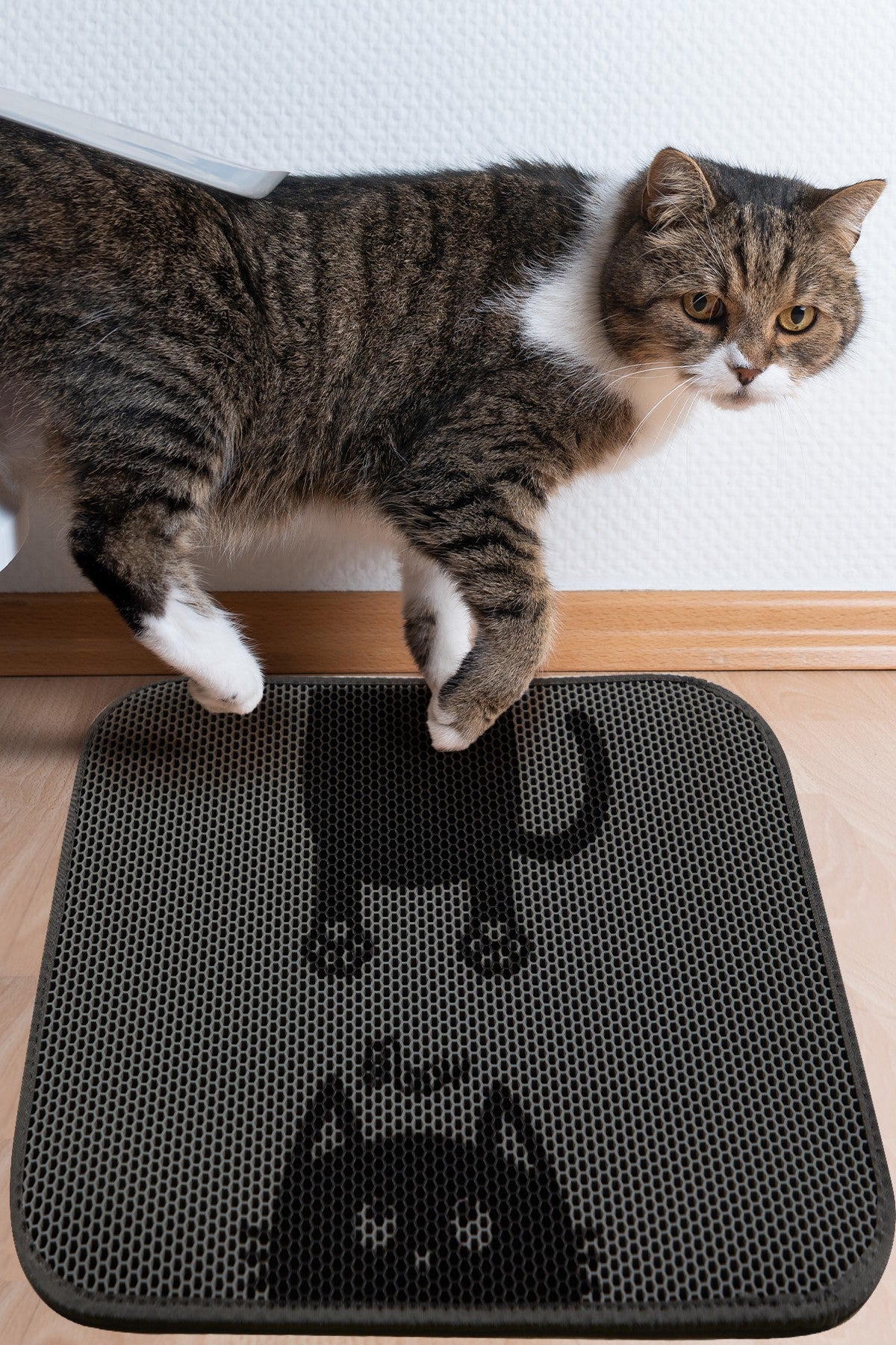 Tapis de litière pour chats Bounce Cat Mat