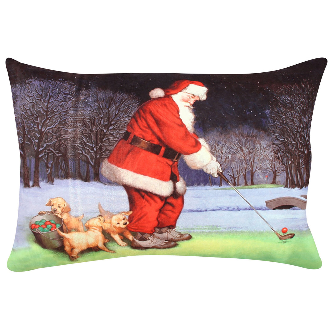 Coussin A50917
