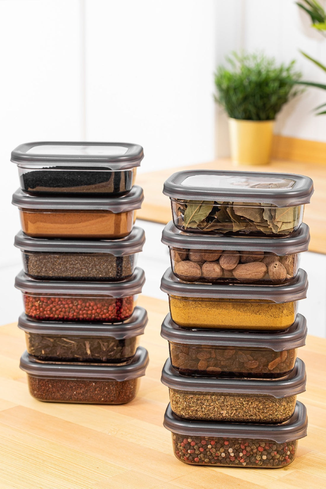 Storage Box Set (12 Pieces) BNMPEGYAR12-4