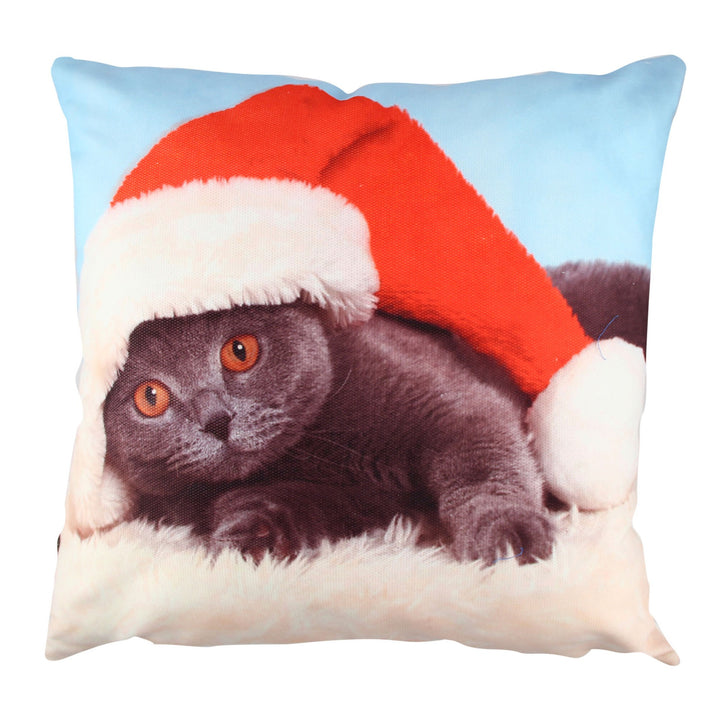 Coussin A10939