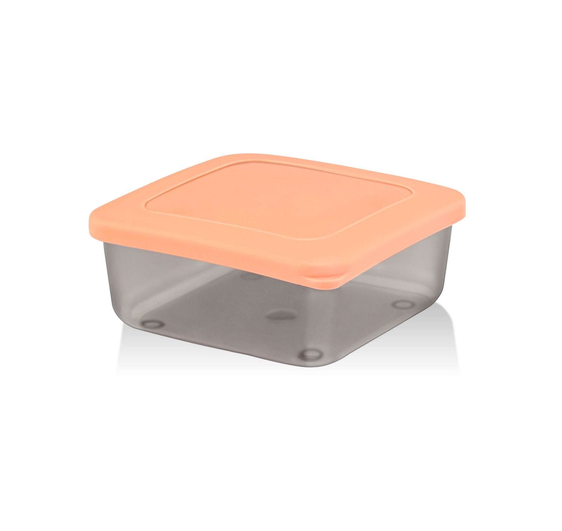 Storage Box Set (4 Pieces) SC-4290