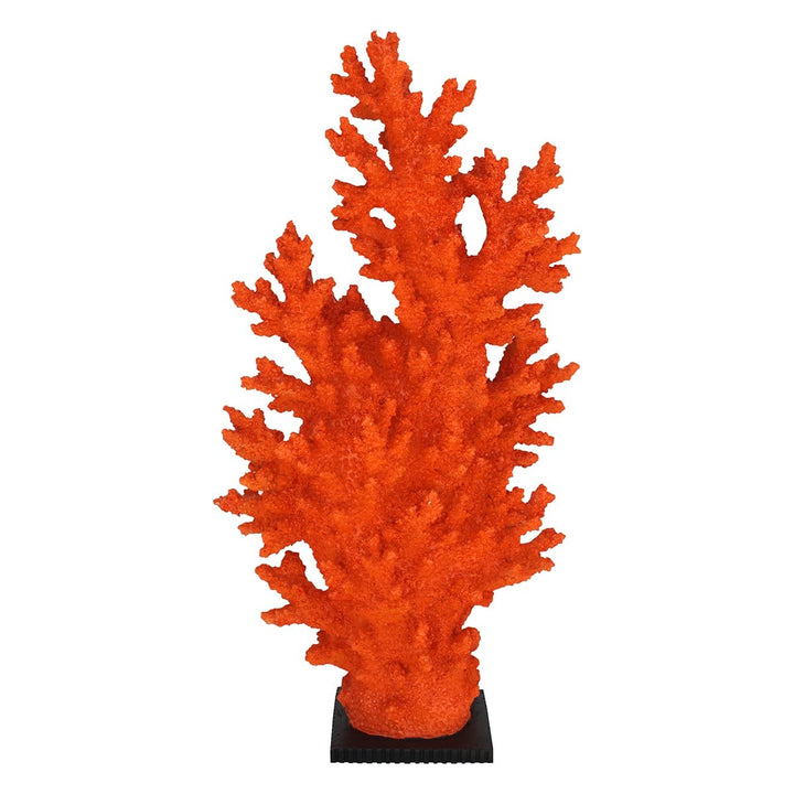 Corail géant décoratif
