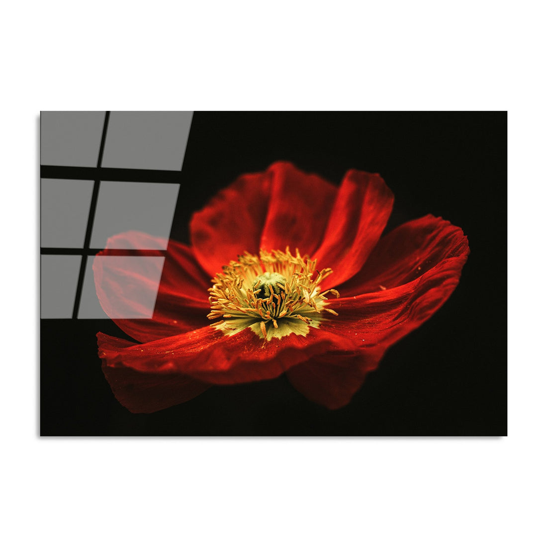 Peinture en verre trempé décoratif UV-204 70 x 100