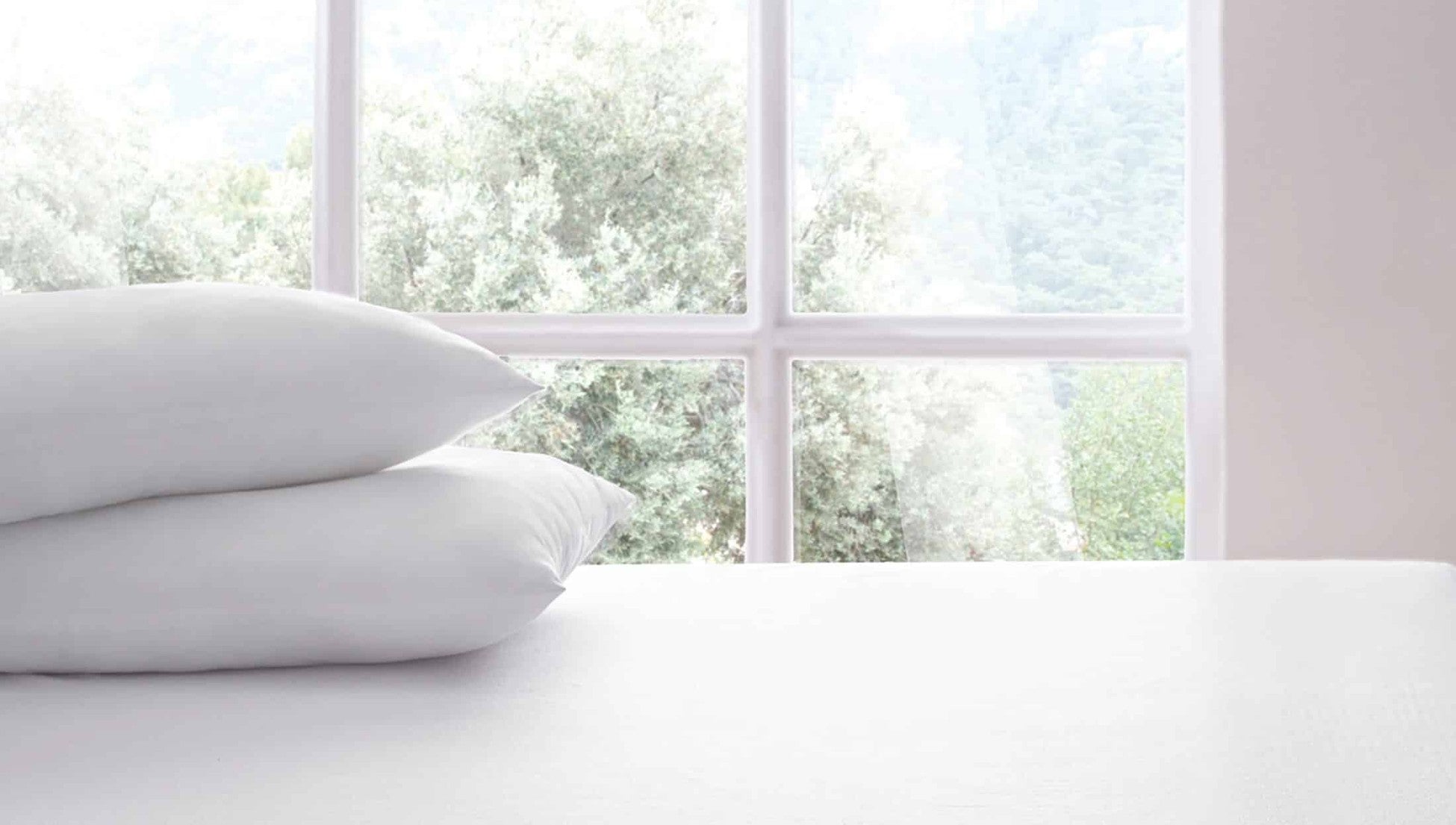 Semmy Alèse Oreiller (lot de 2)