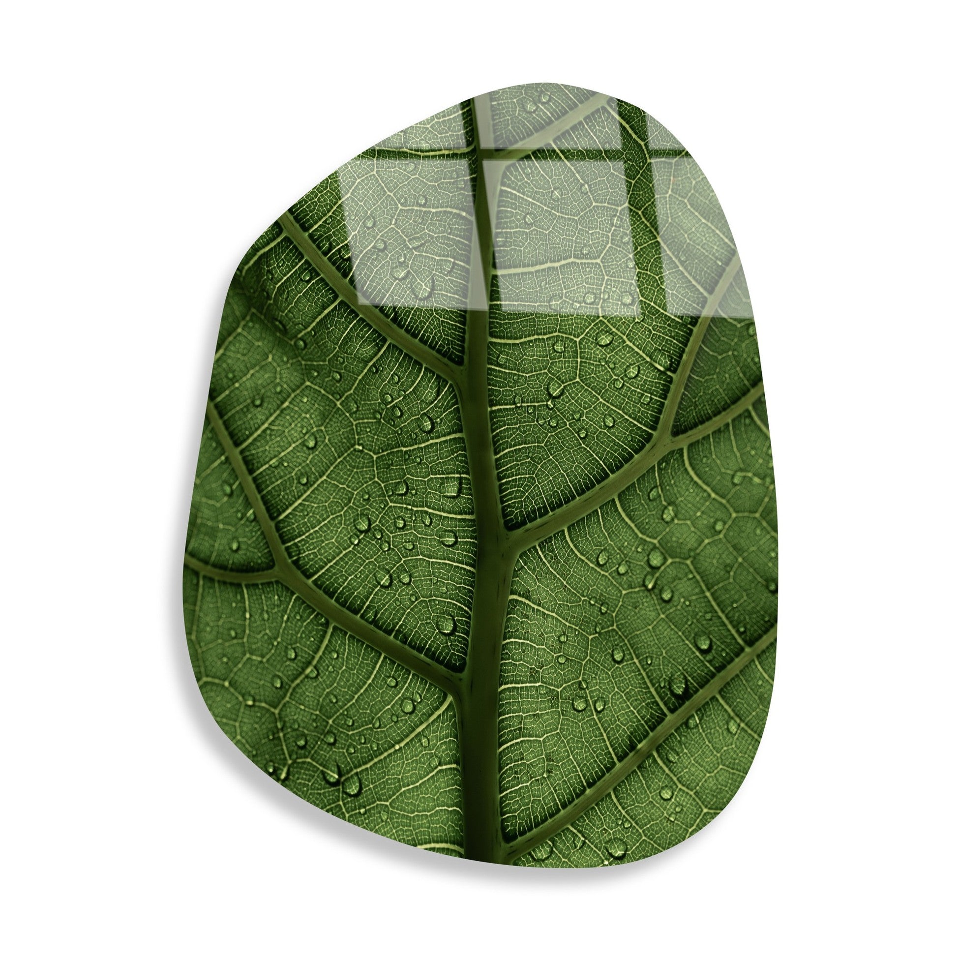 Peinture en verre trempé décoratif UV-1099 - 50 x 70