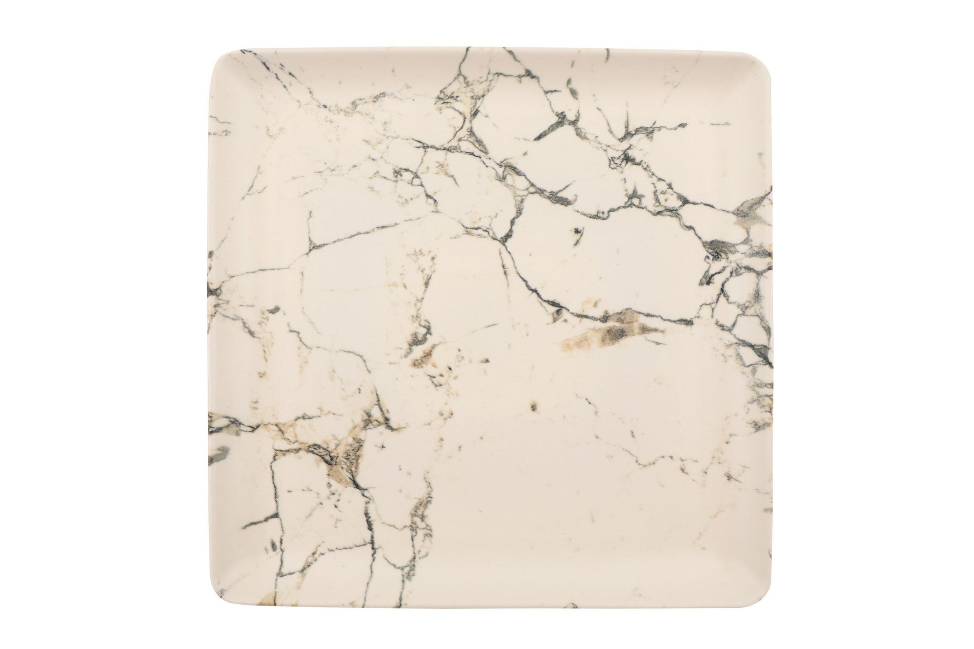 Dîner (24 pièces) NNTAN24Y2893313