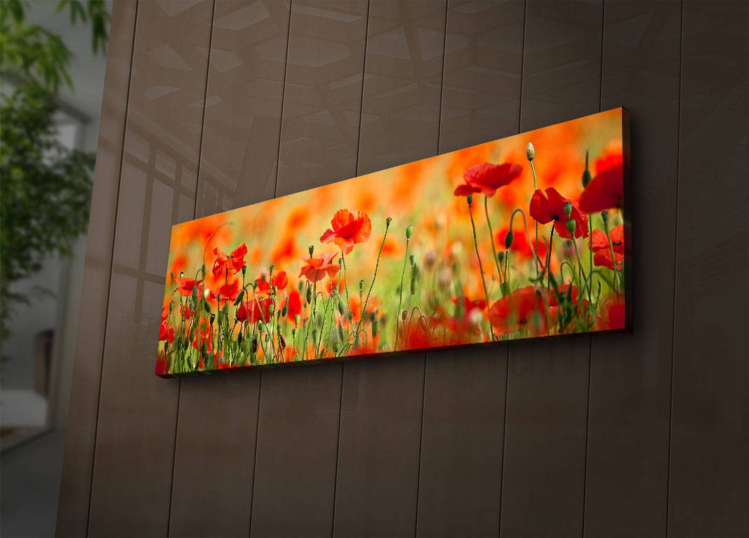 Peinture de toile éclairée à LED décorative 3090İACT-13